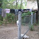  ,  -  28  2018   -2018