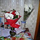 ���� ������� ����������, ����������� - ��������� 27 ����� 2019 � ������ ���� ����������