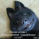 ���� Papochka, ���������, 39 ��� - ��������� 28 ������ 2018