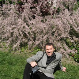 ������, �����-���������, 73 ����