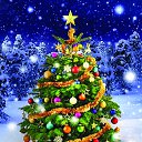 ���� Nusret, ����, 64 ���� - ��������� 18 ������� 2018 � ������ ������ ��������