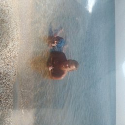 ���� �������, ��������, 48 ��� - ��������� 14 ������ 2018