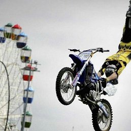 ���� ��������, �����������, 42 ���� - ��������� 4 ����� 2019