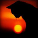 ���� Elena, ������ - ��������� 16 ������� 2018 � ������ ���� ����������