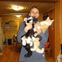 ���� �����, �����-���������, 38 ��� - ��������� 2 ������� 2018 � ������ ���� ����������