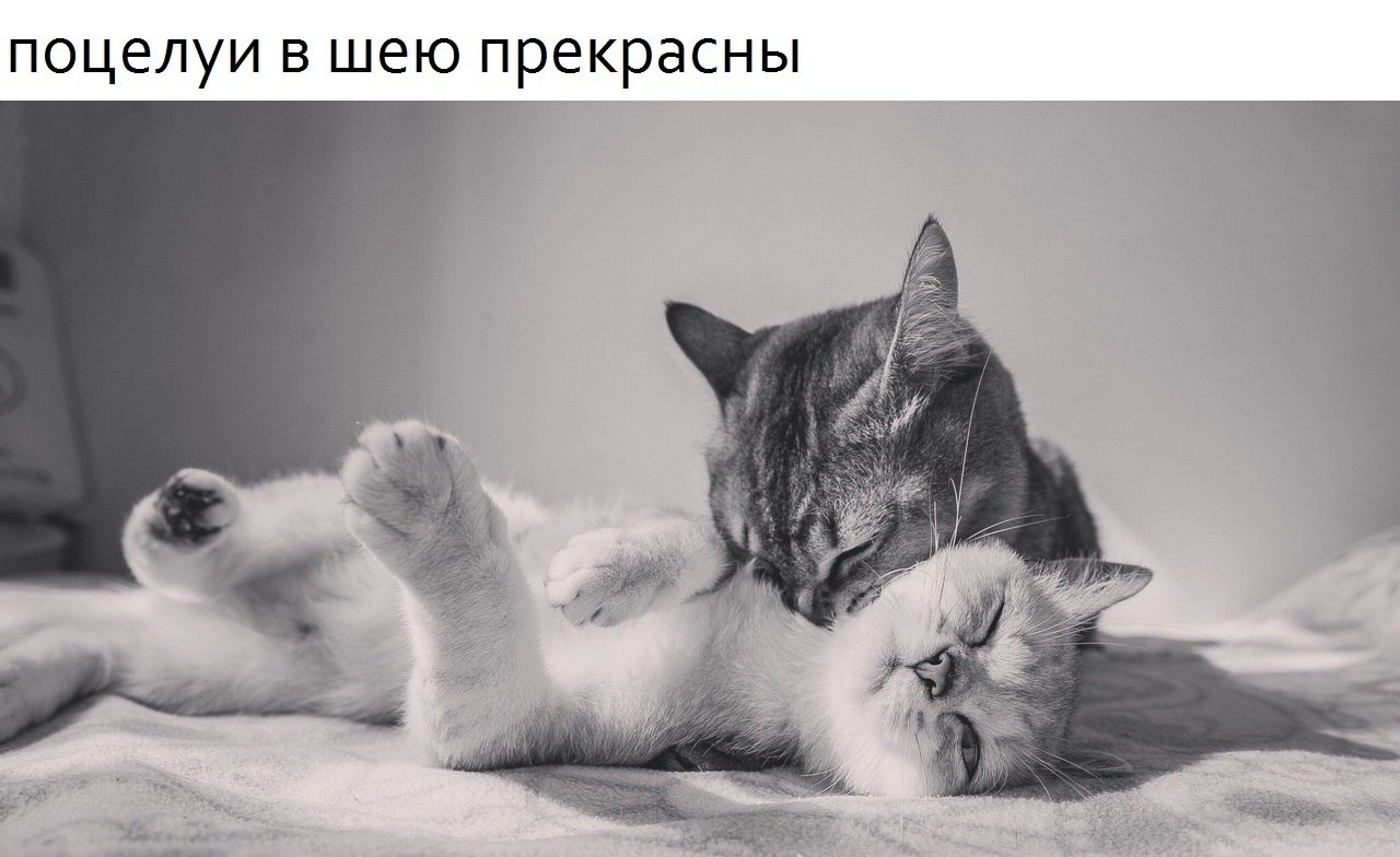    - 5  2018  16:32