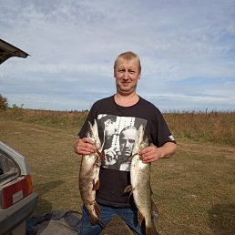 ������, ������, 41 ���