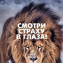 ���� ��������, ������� - ��������� 13 ������ 2019 � ������ ���� ����������