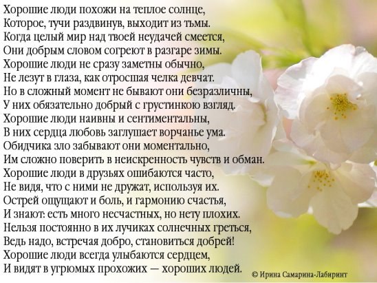 Родной мой человек стихи. Стихи дорогому мужчине. Стихи о хорошем человеке. Ты лучший человек стихи. Ты лучший человек стихи.