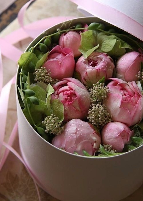  ))).   -   ... ,    -, ... - 5