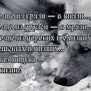 ���� �������, ����� - ��������� 9 ����� 2019 � ������ ������ ��������