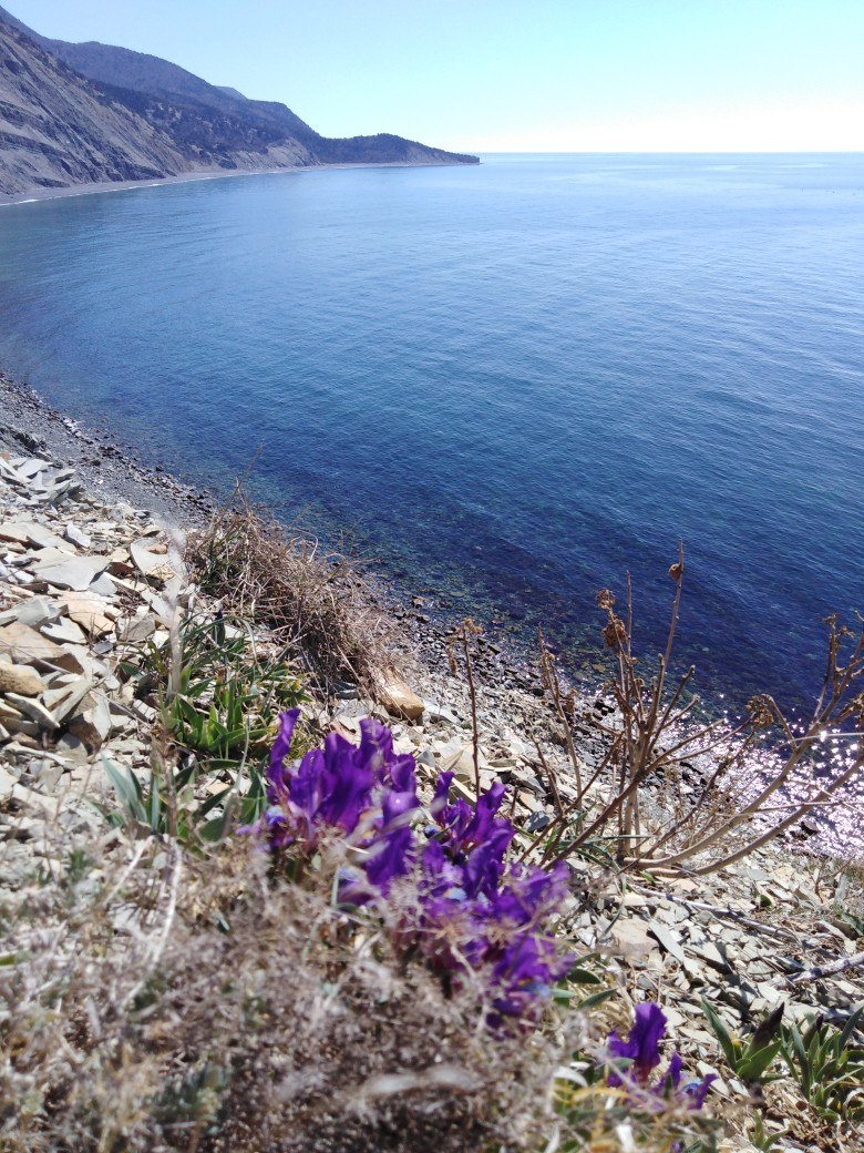  - 27  2019  18:49 - 6