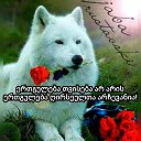 ���� ����, ����, 56 ��� - ��������� 19 ������� 2019 � ������ ���� ����������