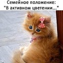 ���� �����, �����, 65 ��� - ��������� 5 ������ 2019 � ������ ������ ��������