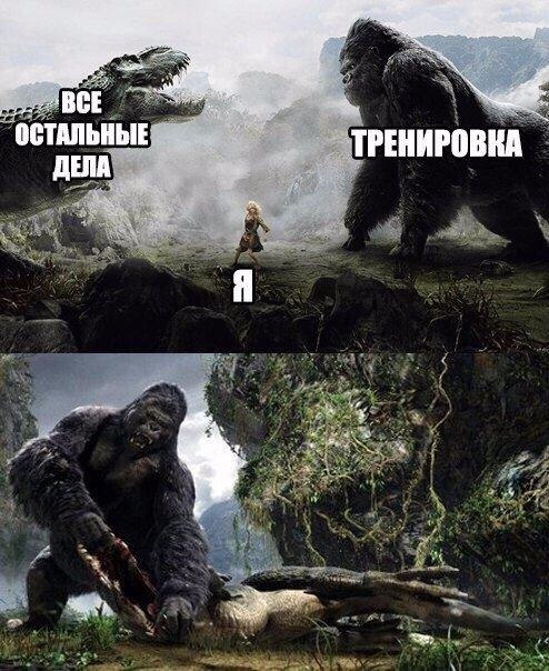 SportFeed - 29  2019  03:57