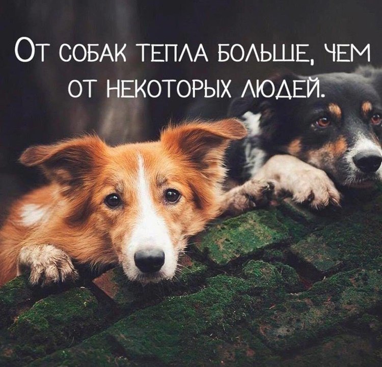  ... - 12  2018  17:12