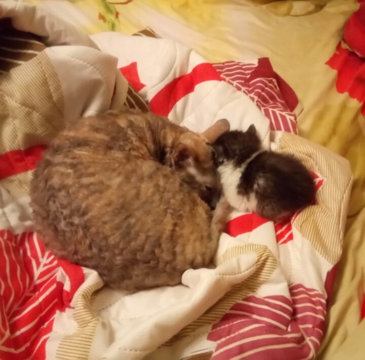 #_.    (  ) . -  4   ( ... - 3