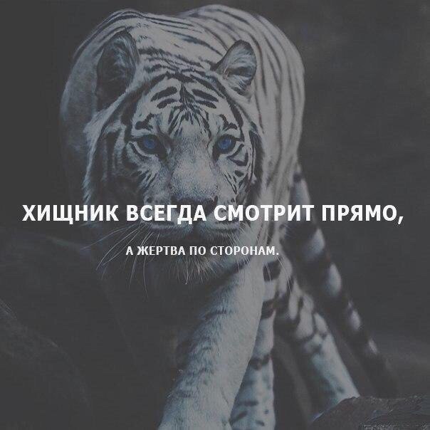 =Fox= - 26  2019  22:06