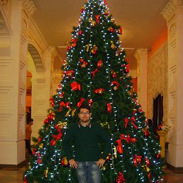 ���� ������, ���������, 33 ���� - ��������� 16 ������� 2018