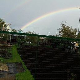 �����, ������, 50 ���