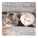 ���� �����, ������������ - ��������� 23 ������ 2019 � ������ ������ ��������