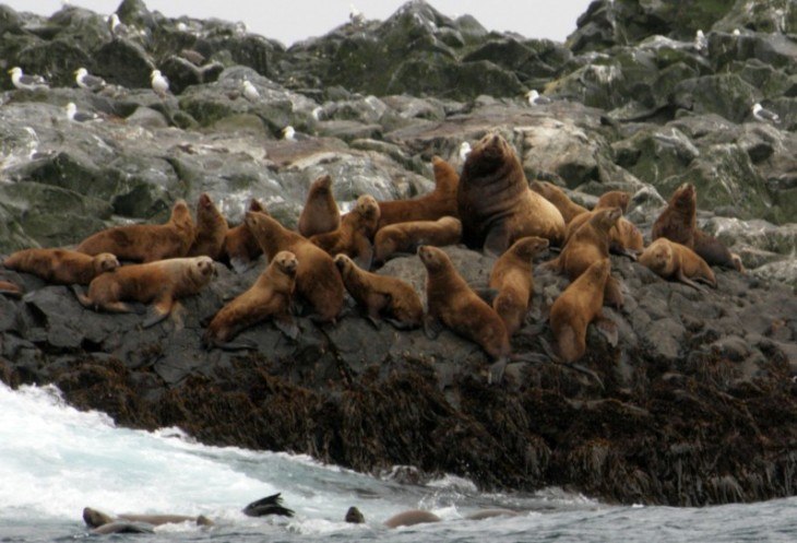 ��������� � ������.���������� ������� � ��� ��������� �� ������� ��������� ���� � ����� �������. ... - 5