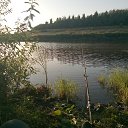  ,  -  2  2018   PetLove