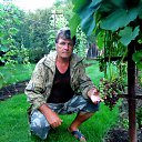 ���� ��������, �����������, 65 ��� - ��������� 29 ������� 2018