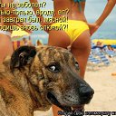 ���� ����, ������ �������� - ��������� 27 ������� 2019 � ������ ���� ����������