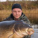 ���� ������ �������, ���������, 59 ��� - ��������� 10 ����� 2019 � ������ ������ ��������