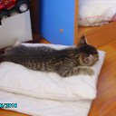 ���� ���, �����, 48 ��� - ��������� 22 ������ 2018 � ������ ���������