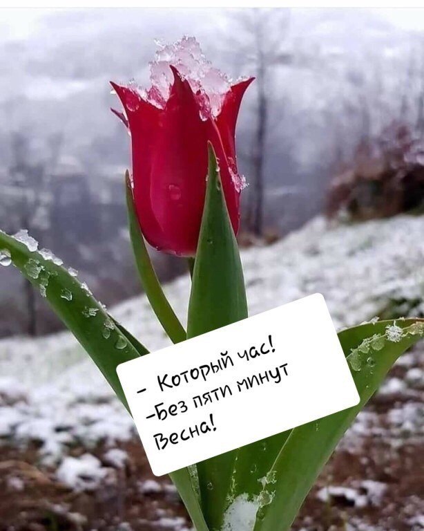  - 24  2019  14:05
