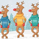 ���� ����������, �����������, 48 ��� - ��������� 12 ������ 2018 � ������ ������ ��������