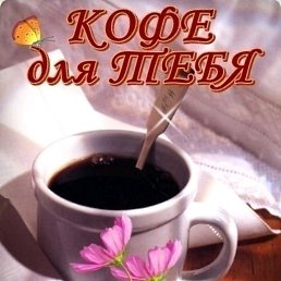 ������, �����, 55 ���