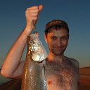 ���� ����, ����, 55 ��� - ��������� 19 ����� 2019 � ������ ���� ����������