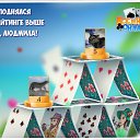 ���� �����, ������ - ��������� 11 ������� 2018 � ������ �������� �������-�������