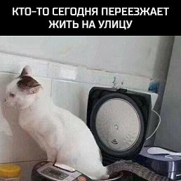 ���� ����, ������, 40 ��� - ��������� 17 ������� 2019
