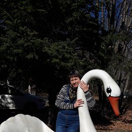 ���, ������, 69 ���