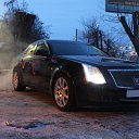 ���� ������, ���������, 43 ���� - ��������� 7 ������� 2019 � ������ ���� ����������
