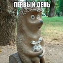 ���� �����, ����-��� - ��������� 7 ������� 2018 � ������ ���� ����������