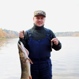 ��������, ���������, 49 ���