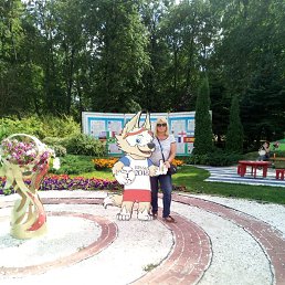  ,  , 64  -  17  2018