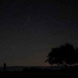 �������, ������, 31 ���