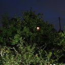  , , 75  -  6  2018      2018