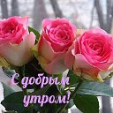 ���� �����, ����, 40 ��� - ��������� 25 ������� 2018