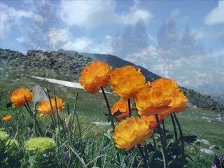 Моё детство рвёт жарки под горою... Черемшанка, Зимовьё, Бутаково*… Ничего же вроде нет в них ...