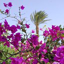 ���� ��������, ������, 78 ��� - ��������� 8 ������ 2019 � ������ ������ ��������