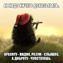 ���� �����, ������������, 54 ���� - ��������� 3 ������ 2018 � ������ ���� ����������