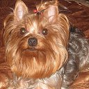 ���� ����, ����, 50 ��� - ��������� 21 ������� 2018