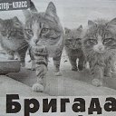 Aleksandr A,  -  27  2018        ...:-)
